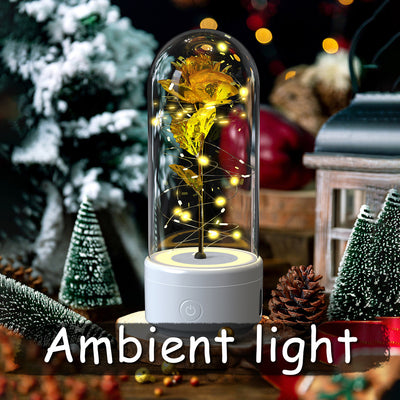 Creative 2 In 1 Rose Flowers LED Light And Bluetooth-compatible Speaker Valentine's Day Gift Rose Luminous Night Light Ornament In Glass Cover AekCraft