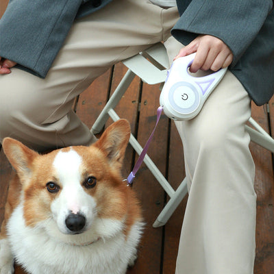 Dog Leash Retractable Leash And Dog Collar Spotlight Automatic Pet Dog Cat Traction Rope For Small Medium Dogs Pet Product AekCraft