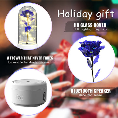 Creative 2 In 1 Rose Flowers LED Light And Bluetooth-compatible Speaker Valentine's Day Gift Rose Luminous Night Light Ornament In Glass Cover AekCraft