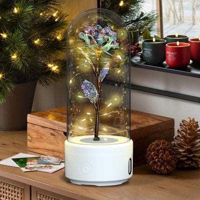 Creative 2 In 1 Rose Flowers LED Light And Bluetooth-compatible Speaker Valentine's Day Gift Rose Luminous Night Light Ornament In Glass Cover AekCraft