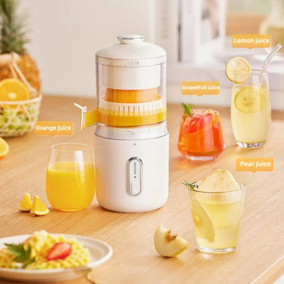 Electric Juicer AekCraft