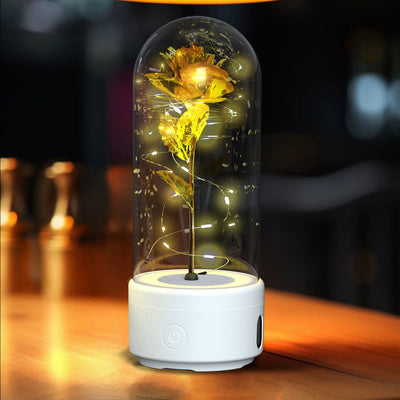 Creative 2 In 1 Rose Flowers LED Light And Bluetooth-compatible Speaker Valentine's Day Gift Rose Luminous Night Light Ornament In Glass Cover AekCraft